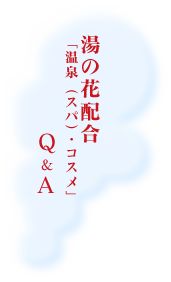 交通アクセス